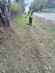 Motor Bike Delivery Driver CV - Daniel - 2