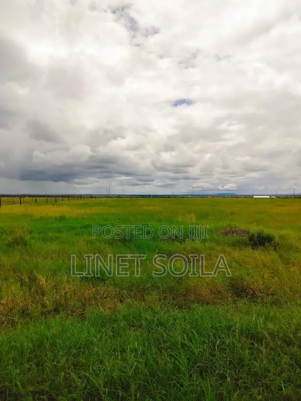 Viwanja vya Isinya 50x100 Vinauzwa - 1
