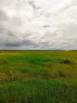 Viwanja vya Isinya 50x100 Vinauzwa - 1