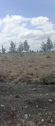 Half Acre Plot for Sale in Kaputiei North, Kitengela - 2