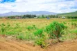 Eneo la 50x100 Linalouzwa Gilgil - 2
