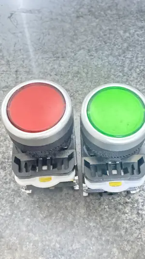 22mm Momentary Push Button Switch with LED Indicator