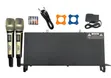 SKM9000 Professional UHF Wireless Microphone System - 2 Mics - 1