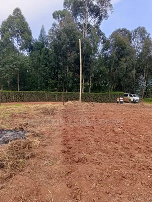 Ardhi Inauzwa Mirithu, Opposite Tilisi