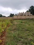 Residential Plots for Sale in Gikambura - 3