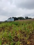 Residential Plots for Sale in Gikambura - 4