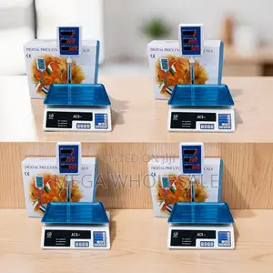 ACS 30 Digital Weighing Scale (30Kg)