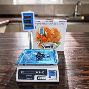 ACS40 40Kgs Digital Weighing Scale with Arm