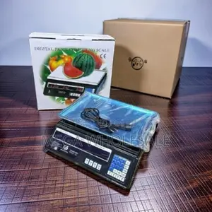 ACS 40 Digital Weighing Scale