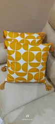 Beautiful Cushion Throw Pillows - 2