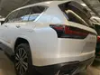 Lexus LX 500d 2023 Off-White - 2