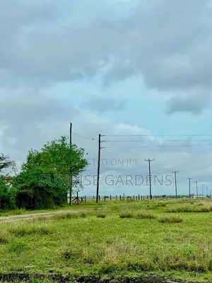 Vipande 50x100 vya Kuuzwa Kitengela (Karibu na Chuo Kikuu KCA)