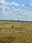 Vipande 50x100 vya Kuuzwa Kitengela (Karibu na Chuo Kikuu KCA) - 3