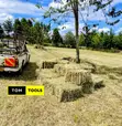 10PCS Organic Boma Rhodes Hay Bales - 1