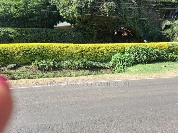 10 Acres Land for Sale in Tigoni - 1