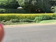 10 Acres Land for Sale in Tigoni - 1