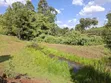 10 Acres Land for Sale in Tigoni - 3