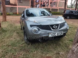 Nissan Juke 2013 Kijivu