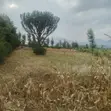 Scenic 0.5 Acre Land for Sale Kijabe - 4