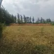 Scenic 0.5 Acre Land for Sale Kijabe - 5