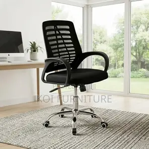 Mid Backrest Black Ergonomic Mesh Office Chair