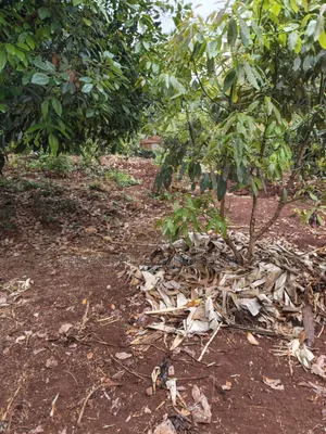 3/4 Acre Prime Land for Lease on Kiambu Road