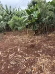 3/4 Acre Prime Land for Lease on Kiambu Road - 2