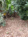 3/4 Acre Prime Land for Lease on Kiambu Road - 3