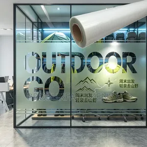 Custom Frosted Window Film - Privacy Decoration