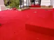 Premium Red Wall-to-Wall Carpet - Soft & Durable - 2
