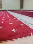 Carpeti Nyekundu ya Ukutani - Ufungaji wa Kitaalamu - 1