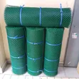 Plastic Poultry Mesh 3ft x 25m - 1
