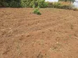 Kitalu cha Ardhi kwa Uuzaji Mavoko Township - 1