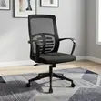 High Back Mesh Study Chair with Armrest - 2
