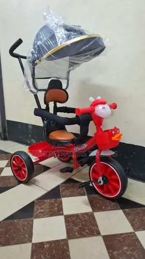 Tricycle yenye Canopy na Muziki
