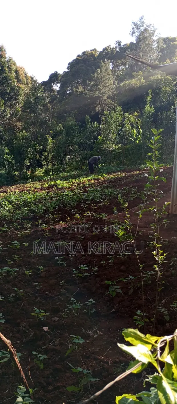 Kitalu cha 50x100 Kinauzwa Kangodo, Dagoretti, Kaunti ya Nairobi - 1