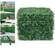 Evergreen Privacy Hedges Panels (40x60cm) - 1