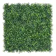 Evergreen Privacy Hedges Panels (40x60cm) - 2