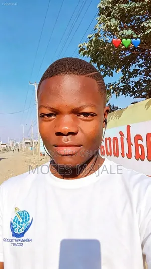 Hardworking Individual Seeking Hotel Job