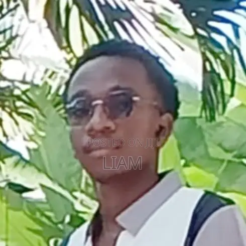 Mtaalamu Mwenye Uchambuzi na Mwelekeo wa Suluhisho - 1