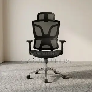 Mesh Orthopedic Desk Chair - Black