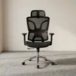 Mesh Orthopedic Desk Chair - Black - 1