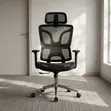 Mesh Orthopedic Desk Chair - Black - 4