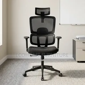 Ergonomic Orthopedic Office Chair - High Back Mesh with Headrest