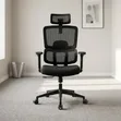 Ergonomic Orthopedic Office Chair - High Back Mesh with Headrest - 2