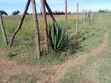 1/8 Acre Plot for Sale in Lusiget, Kikuyu - 2