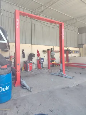 Sunshine 4-Ton 2-Post Car Lift