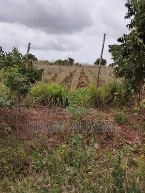 15 Acres Prime Farmland in Kakuyuni