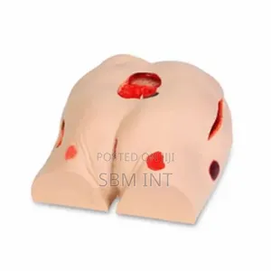 Decubitus Ulcer Care Simulator