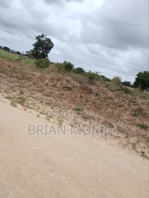 200 Acres Prime Farmland along River